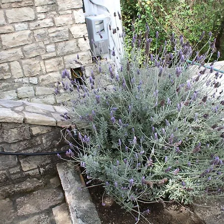 Paxos Rock Appartement Gaios